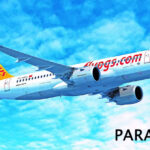 Pegasus Hava Yolları Hakkında Herşey